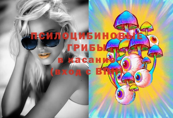 меф Арсеньев